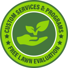 custom services icon