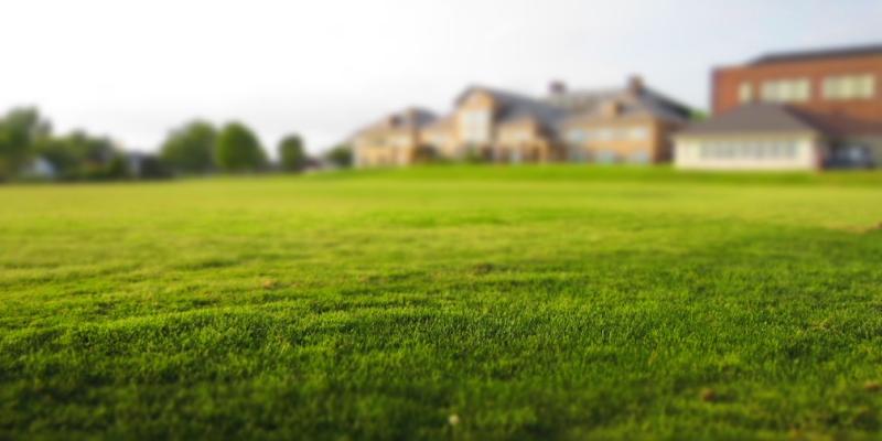 A crabgrass-free yard. Learn how to get rid of crabgrass