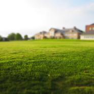 A crabgrass-free yard. Learn how to get rid of crabgrass