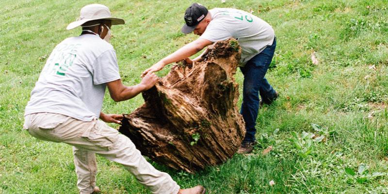 Lawn technicians removing tree stump