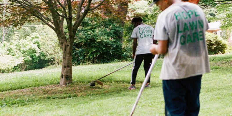 Lawn technician weed eating around tree